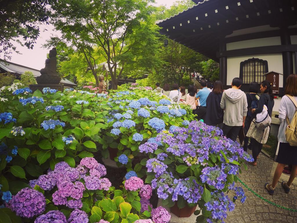 Iza Kamakura Guest House And Bar Exterior photo